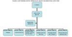 Micro Organization Structure